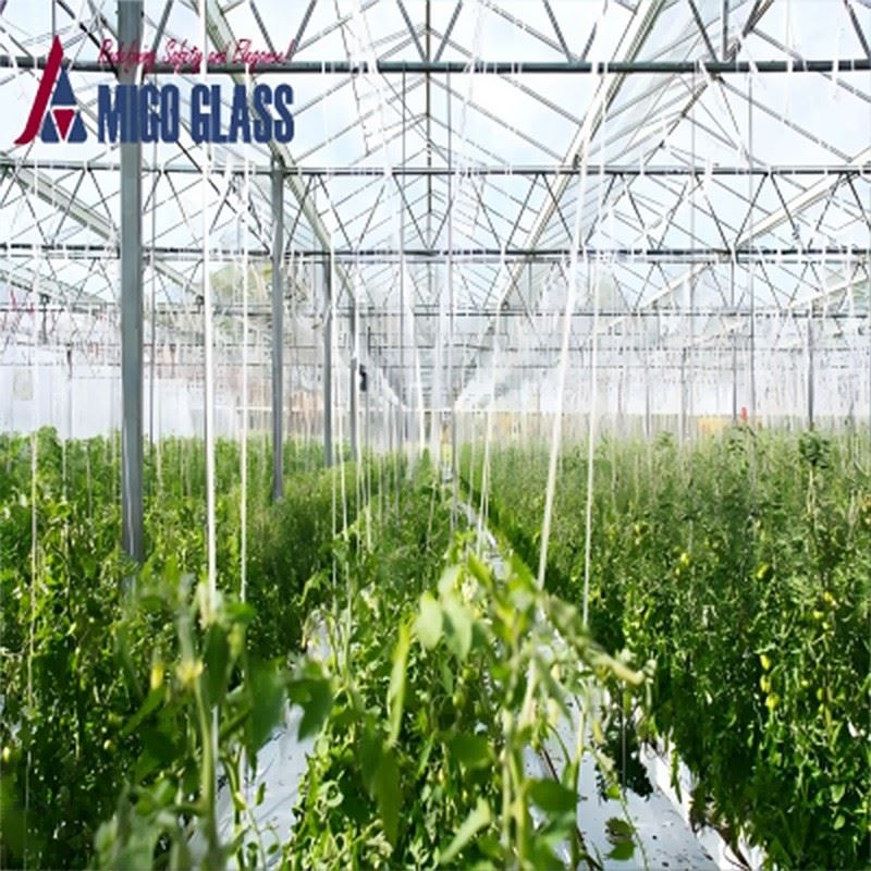 greenhouse